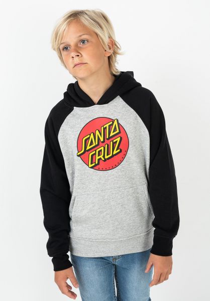 Sudadera niño SANTA CRUZ con capucha para Chicos Ref. Youth DOT REFLECTION HOOD -BLACK HEATHER GREY | Martimpe - Tienda de Moda en Gausach, Vielha, Valle de Aran