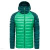 Chaqueta de Plumón The North Face hombre Trevail Jacket T939N46WV Urban bicolor verdes