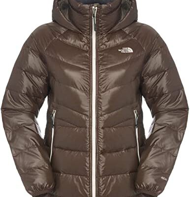 Chaqueta de Plumón The North Mujer Face Polar down parka T0A52C163 Brownie marrón chocolate