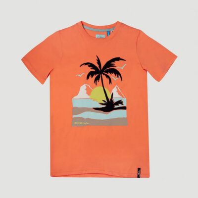 Camiseta O'NEILL manga corta niño surfera PALM SHORTSLEEVE T-SHIRT Living coral Ref. 1A2478 naranja palmera