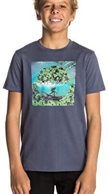 Camiseta RIP CURL Niño manga corta surfera GOOD DAY SS TEE Blue indigo Ref. KTELL4 Azul paisaje surf