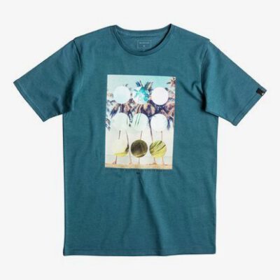 Camiseta QUIKSILVER manga corta niño stone cold classic (bqko) ref. EQBZT0347 azul dibujo frontal