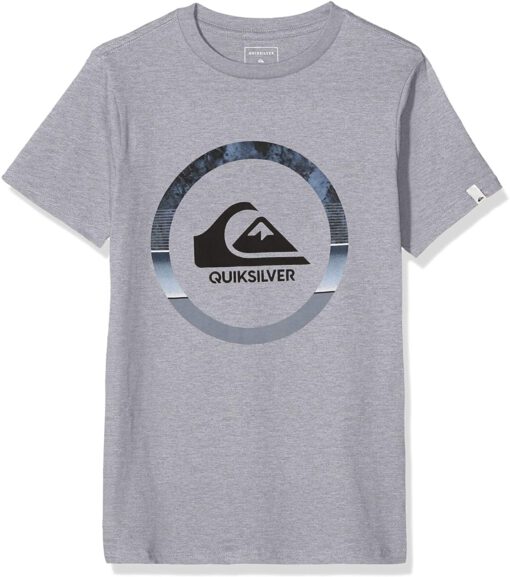 Camiseta QUIKSILVER manga corta niño Classic snake dreams (sgrh) ref EQBZT04066 gris claro