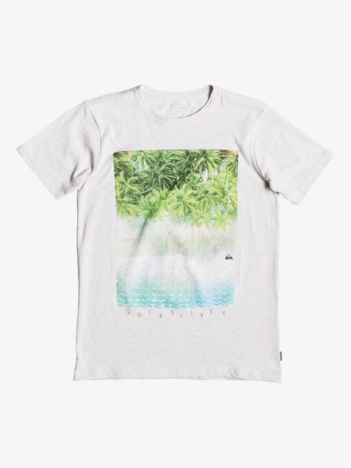 Camiseta QUIKSILVER manga corta niño surfera palmeras (kzeh) Ref. EQBZT03922 gris claro palmeras