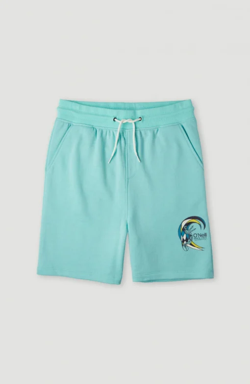 Pantalón corto O'NEILL chándal para niño CIRCLE SURFER SWEATSHORTS aqua Ref. 4700003 azul agua