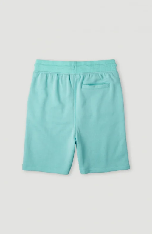 Pantalón corto O'NEILL chándal para niño CIRCLE SURFER SWEATSHORTS aqua Ref. 4700003 azul agua