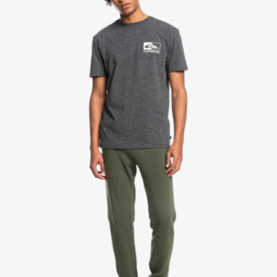 Pantalón chándal QUIKSILVER tejido orgánico para Hombre Essentials green (CQY0) Ref. EQYFB03256 verde básico