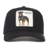 Gorra Animales GOORIN BROS THE BADDEST BOY con rejilla ajustable con parche de perro Color negro
