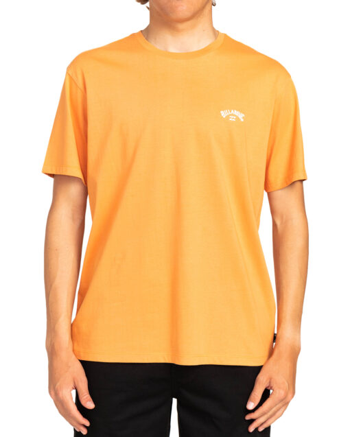 Camiseta BILLABONG básica para hombre manga corta ALL DAY CREW SS (3187) Ref. W1JE20 BIP1 DUSTY ORANGE -naranja