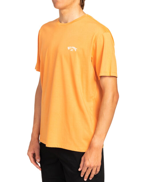 Camiseta BILLABONG básica para hombre manga corta ALL DAY CREW SS (3187) Ref. W1JE20 BIP1 DUSTY ORANGE -naranja