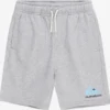 Pantalón Chándal de felpa QUIKSILVER niño deportivo Easy Day (SEYH) Ref. EQBFB03144 Gris claro