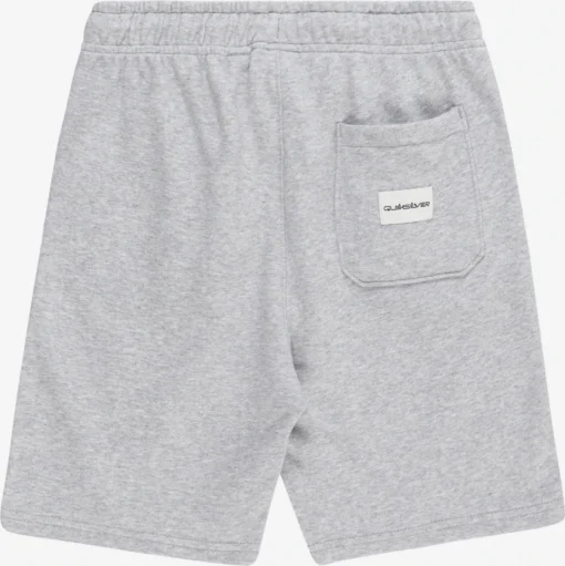 Pantalón Chándal de felpa QUIKSILVER niño deportivo Easy Day (SEYH) Ref. EQBFB03144 Gris claro