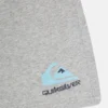 Pantalón Chándal de felpa QUIKSILVER niño deportivo Easy Day (SEYH) Ref. EQBFB03144 Gris claro