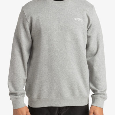 Sudadera BILLABONG casual con cuello redondo para Hombre ARCH CR (GRH) Ref. EBYFT00103 gris claro