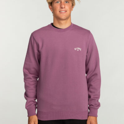 Sudadera BILLABONG casual con cuello redondo para Hombre ARCH CR (ppfo) Ref. EBYFT00113 Bright Purple-morado