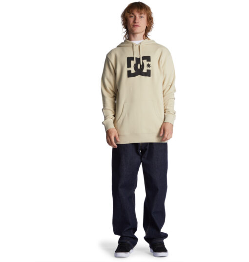Sudadera DC SHOES Hombre con capucha DC STAR (TGD0) REF-ADYSF03099 Beige