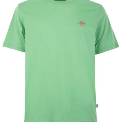 Camiseta DICKIES hombre Manga corta clásica SS MAPLETON T-SHIRT Ref. DK0A4XD8 E91 -Verde manzana