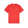 Camiseta DICKIES hombre Manga corta LEESBURG BOX TEE SS con estampado de cebra REF.DK0A4Y8Q Roja