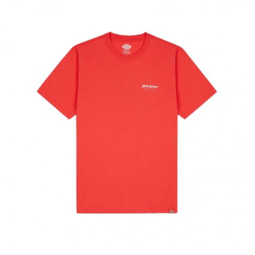 Camiseta DICKIES hombre Manga corta LEESBURG BOX TEE SS con estampado de cebra REF.DK0A4Y8Q Roja