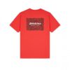 Camiseta DICKIES hombre Manga corta LEESBURG BOX TEE SS con estampado de cebra REF.DK0A4Y8Q Roja