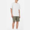 Camiseta DICKIES hombre Manga corta SUMERDALE DKWHX REF.DK0A4YAI -DKA28 GRIS JASPEADO