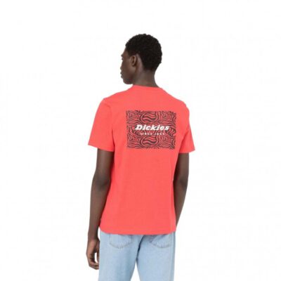 Camiseta DICKIES hombre Manga corta LEESBURG BOX TEE SS con estampado de cebra REF.DK0A4Y8Q Roja