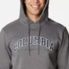 Sudadera COLUMBIA con capucha y CSC Basic Logo™ II para hombre Ref 1681664032 gris
