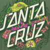 Camiseta SANTA CRUZ skate unisex manga corta ASP FLORES DOT FRONT T-SHIRT ref SCA TEE 10307 sage-verde