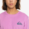 Camiseta Hombre QUIKSILVER manga corta mw mini logo ss Ref. EQYZT07657 (phpo)rosa
