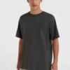 Camiseta O´NEILL manga corta FUTURE SURF SOCIETY Ref-2850164 casual wear men-RAVEN-gris oscuro