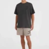 Camiseta O´NEILL manga corta FUTURE SURF SOCIETY Ref-2850164 casual wear men-RAVEN-gris oscuro