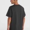 Camiseta O´NEILL manga corta FUTURE SURF SOCIETY Ref-2850164 casual wear men-RAVEN-gris oscuro