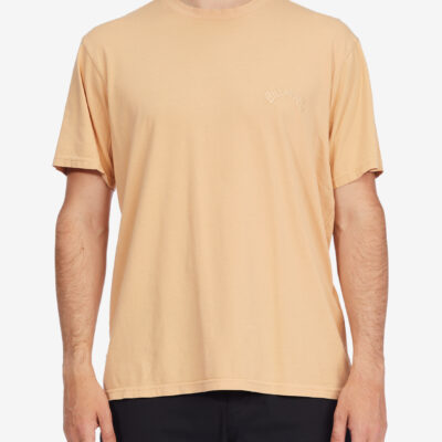 Camiseta BILLABONG para hombre manga corta Mesa Wavewash crew Ref. C1JE25BIP2 beige