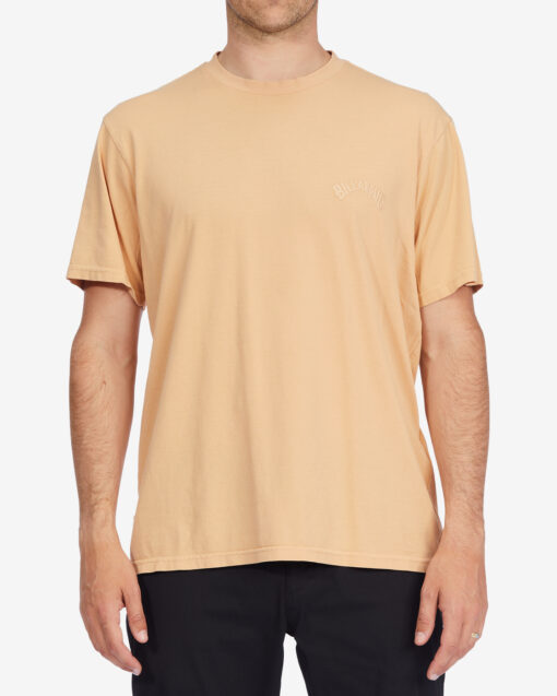 Camiseta BILLABONG para hombre manga corta Mesa Wavewash crew Ref. C1JE25BIP2 beige