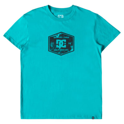 Camiseta DC Shoes manga corta para hombre DC Chain Link (gpf0) Ref. EDYZT04279 verde logo negro