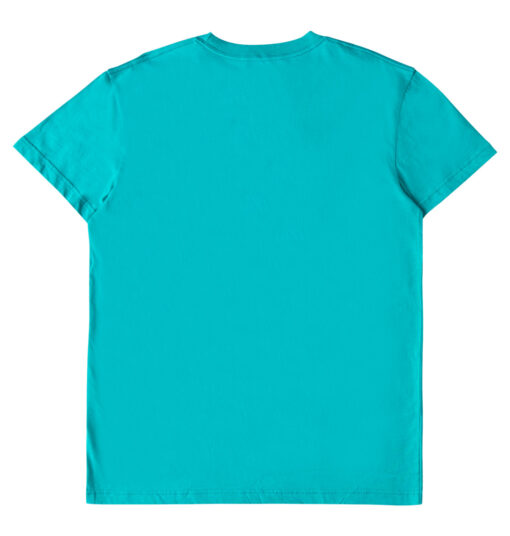 Camiseta DC Shoes manga corta para hombre DC Chain Link (gpf0) Ref. EDYZT04279 verde logo negro
