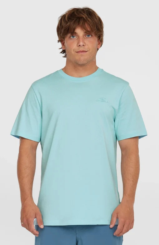 Camiseta O´NEILL manga corta SMALL LOGO T-SHIRT Ref-2850295 golden morning glory-azul cielo