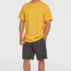 Camiseta O´NEILL manga corta SMALL LOGO T-SHIRT Ref-2850295 golden haze-amarillo