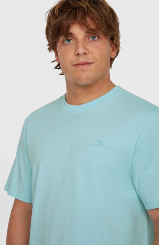 Camiseta O´NEILL manga corta SMALL LOGO T-SHIRT Ref-2850295 golden morning glory-azul cielo