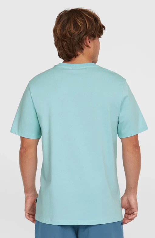Camiseta O´NEILL manga corta SMALL LOGO T-SHIRT Ref-2850295 golden morning glory-azul cielo