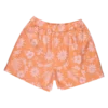 Pantalón corto SANTA CRUZ para Mujer sca wsh 0370 TAKE A TRIP SHORTS- APRICOT -estampado